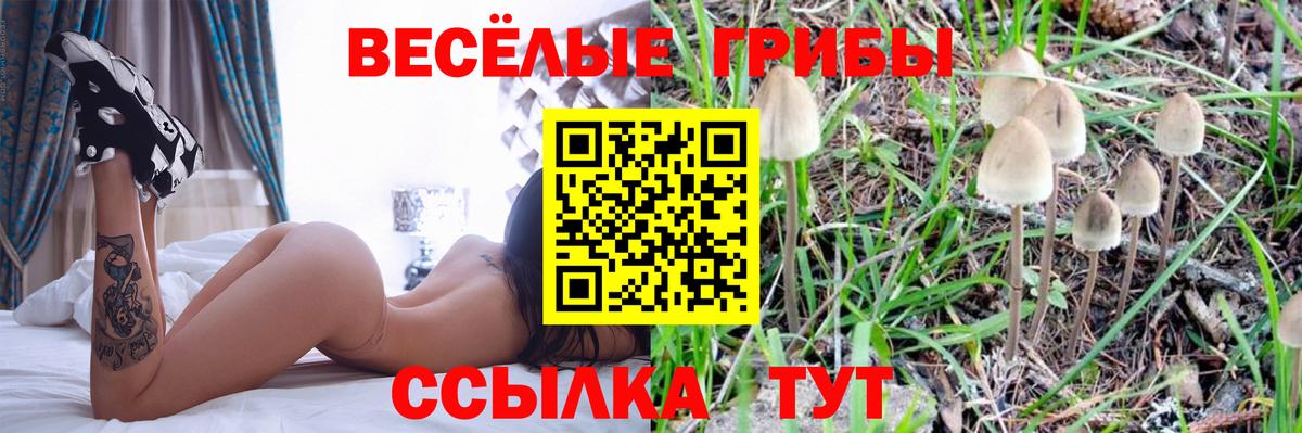 Галлюциногенные грибы ЛСД  Вход с VPN  наркошоп  Киреевск  Псилоцибиновые грибы Psilocybe 